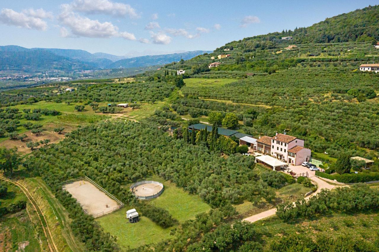 Agriturismo Casa Rosa Верона Экстерьер фото